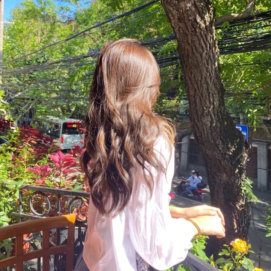 薰衣草和夏天
